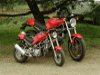 mini Ducati sur base d'un moteur dax